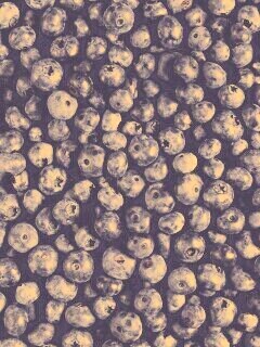 Черника обои