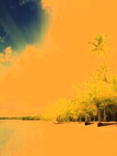 Тропическое побережье обои