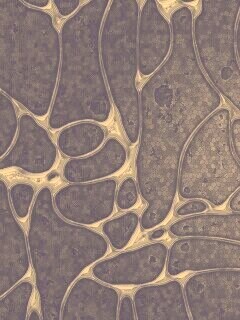 Абстрактные обои обои