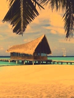 Бунгало обои