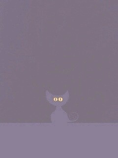 Чёрный кот в ночи обои