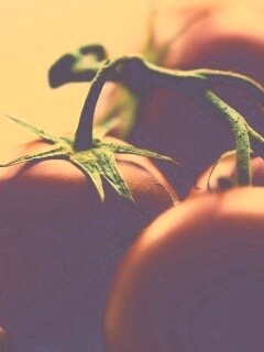 Аппетитные помидоры обои