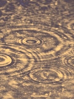 Круги на воде обои