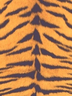 Тигриная шкура обои