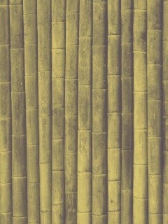 Бамбук обои