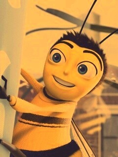 Бимуви обои