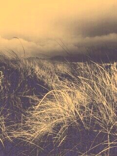 В ожидании шторма обои