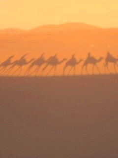 Караван обои