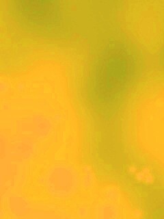 Нечто зеленое обои