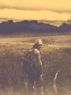 Сталкер под дождем обои