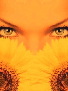 Девушка с желтыми ромашками обои