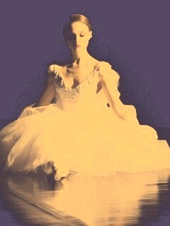 Черный лебедь обои