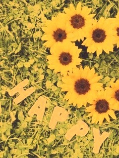 Радость обои