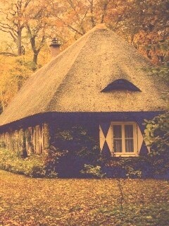 Домик в осеннем лесу обои