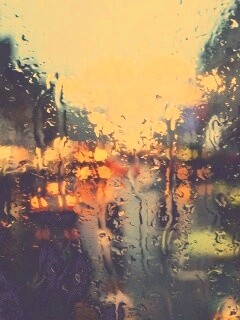 После дождя обои