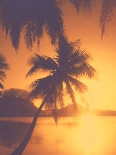 Закат в раю обои