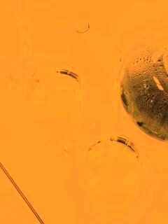 Зеленый чай обои