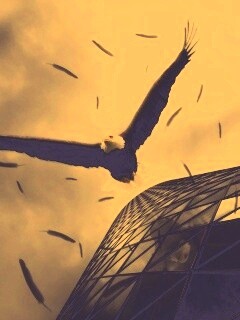 Орлиный полет обои