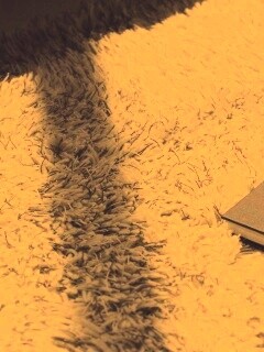 Книга на полу обои