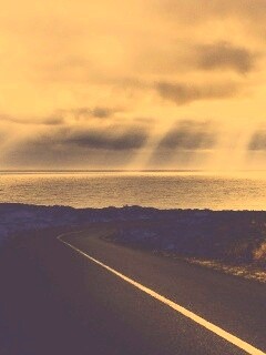 Дорога обои