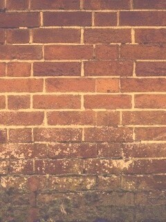 Старая кирпичная стена обои