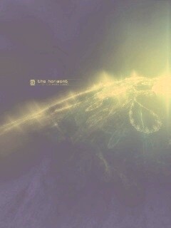 Горизонт обои