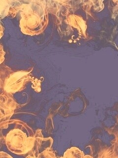 Огненные цветы обои