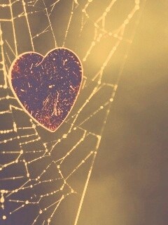 Запутавшаяся любовь.. обои