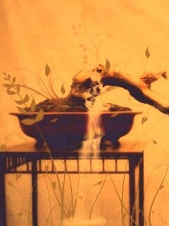 Карликовое дерево обои