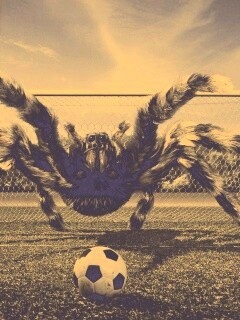 Вратарь обои