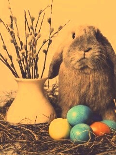 Пасхальный кролик обои
