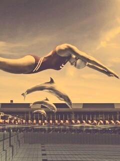 Соревнование обои