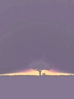 Звёздная ночь обои