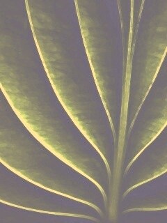 Неоновый лист обои