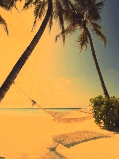 Тропический рай обои