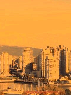 Панорама города обои