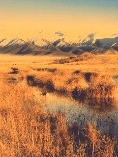 Болото и снежные горы обои