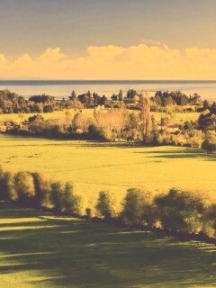 Сельская природа обои