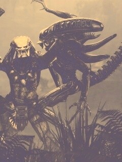 Чужой против Хищника обои