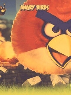 Angry Birds обои