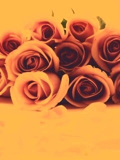 Букет роз обои