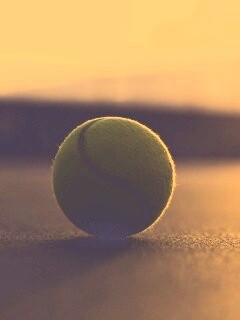 Теннисный мяч обои