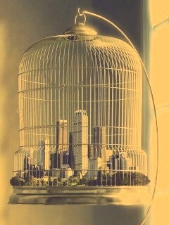 Город в клетке обои