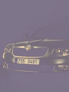 Шкода в темноте обои