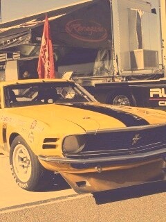 Мускул кары обои