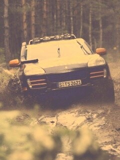 Ралли Porsche обои