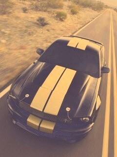 Ford Mustang  с гоночными полосками обои
