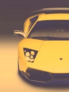 Lamborghini Murcielago обои