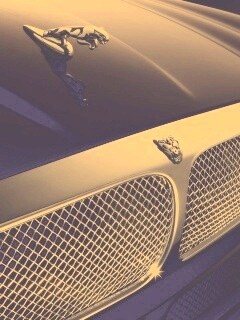 Капот и эмблема Ягуара обои