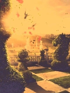 Шахматный сад обои